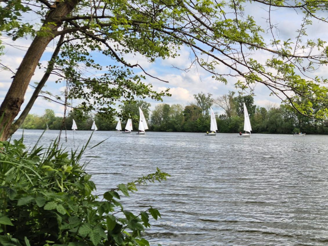 640 Conger Cup 1